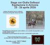 Nuovo stage di Giulia Gaibazzi