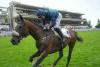 Sel Jem maestoso nel Grand Steeple Chase de Paris, Losange Blue devastante nella Grand Course de Haies, trionfo per la famiglia Papot