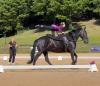 Nasce “Horse for Inclusion”:  ai Pratoni del Vivaro lo sport equestre abbatte ogni barriera
