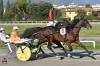 I record mondiali del trotto: un aggiornamento I record mondiali del trotto: un aggiornamento