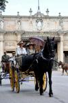 Incanto liberty , carrozze d'epoca a Montecatini Terme