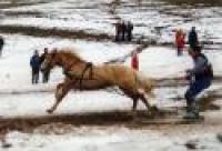 Cavalli sulla neve, uno spettacolo travolgente