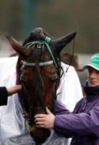 Prix d'Amérique, la carriera di Meaulnes du Corta