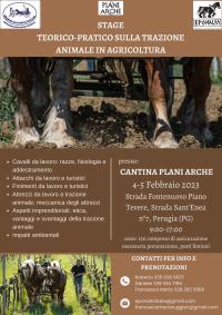 G.I.A. Stage teorico-pratico sul cavallo in agricoltura