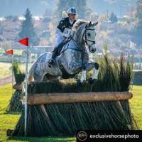 Interessante seminario online della FEI sul Completo