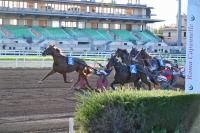 Ippica -... Ippica -...