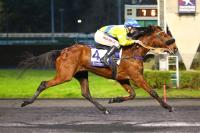 Domenica a Vincennes il campionato del mondo al trotto montato