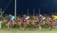 Ippodromo Caprilli, definito  accordo con l'Alfea