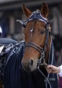 Lotteria Nazionale ad Agnano? Sì,  ma senza cavalli