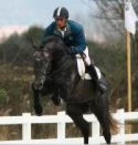 Performance Test, è tedesco il re degli stalloni