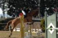 Campionato Maremmano, doppietta di Giulia Tenucci Campionato Maremmano, doppietta di Giulia Tenucci