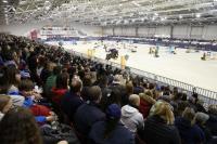 Cavalli a Roma, il Gran Premio a Jody Van Gerwen Cavalli a Roma, il Gran Premio a Jody Van Gerwen