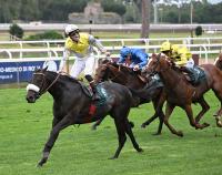 Italia del Galoppo confermata membro Comitato Patter Italia del Galoppo confermata membro Comitato Patter