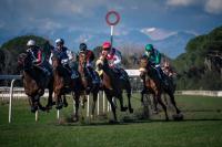 Domenica a San Rossore la Ribot Cup e una tris apertissima