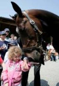 Varenne in Svezia, partenza tra le polemiche