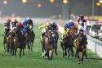 Galoppo, Gladiatorus entusiasma in Dubai Galoppo, Gladiatorus entusiasma in Dubai