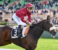 Rientro super di Estrosa a Capannelle, un miglio da 111 di rating Rientro super di Estrosa a Capannelle, un miglio da 111 di rating