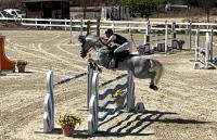 Tanca Regia al via  10 Edizione Trofeo ASVI, per cavallo italiano nato e allevato in Sardegna