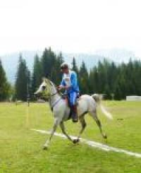 Cavallo2000 e Anica insieme per il purosangue arabo Cavallo2000 e Anica insieme per il purosangue arabo