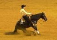 Un cavallo nato in Italia è campione di Reining
