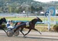 G.P. Lotteria, Ulay Boko nella piccola finale G.P. Lotteria, Ulay Boko nella piccola finale