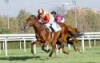 Derby, in pista anche il cavallo di Vittorio Feltri Derby, in pista anche il cavallo di Vittorio Feltri