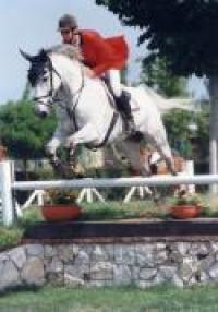 Equitazione, a Cisterna tre giorni con i big del salto