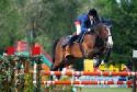 Salto, Chiaudani ha vinto il G.P. a Modena Salto, Chiaudani ha vinto il G.P. a Modena