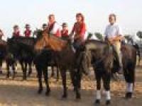 Migliora la ragazza travolta da un cavallo a Tuscania