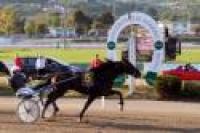 G.P.Lotteria, il Ministro applaude Libeccio Grif