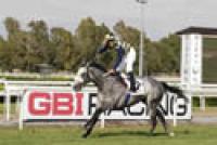 Roma, Crackerjack King è proprio lui... il Presidente Roma, Crackerjack King è proprio lui... il Presidente