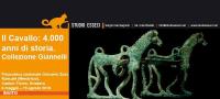 Svizzera, in Cantone Ticino una mostra dedicata al cavallo