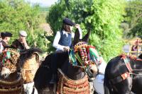 Ambelia, al via quarta edizione  Fiera Mediterranea del Cavallo