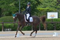 Sport equestri, accordo cooperazione tra Corsica e Sardegna Sport equestri, accordo cooperazione tra Corsica e Sardegna