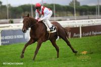 Derby promosso dal Racing Post, 113 per Arkadan e Tempesti