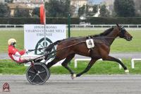 Modena Gold, domenica il Giovanardi e le femmine nel Cacciari