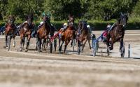 Grande attesa per il Gran Premio Tito Giovanardi, domenica a Modena