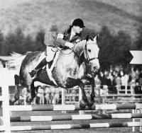 Checcoli: abbattere i muri tra le discipline per recuperare le vere tradizioni equestri