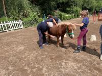 <strong>Overponymotricit&agrave;:</strong>  progetto intergenerazionale conclude percorso al Centro Equestre Federale