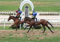 Agnano Galoppo dal 18 maggio al 25 luglio  per tredici giornate spettacolo in pista dritta.