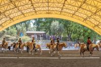 San Raffaele celebra 40 anni di riabilitazione equestre: una storia di cura, relazione e inclusione