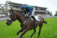 Sel Jem maestoso nel Grand Steeple Chase de Paris, Josange Blue devastante nella Grand Course de Haies, trionfo per la famiglia Papot Sel Jem maestoso nel Grand Steeple Chase de Paris, Josange Blue devastante nella Grand Course de Haies, trionfo per la famiglia Papot