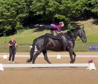 Nasce “Horse for Inclusion”: ai Pratoni del Vivaro lo sport equestre abbatte ogni barriera Nasce “Horse for Inclusion”: ai Pratoni del Vivaro lo sport equestre abbatte ogni barriera