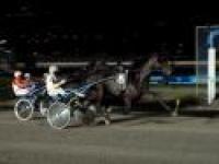 Trotto, notte magica per Bengt Holm