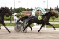Trotto, Supertris di Padova a un cavallo padovano