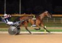 GP Triossi, Lana grande come il padre Varenne