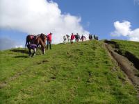 A cavallo per scoprire la magia dell'Appennino