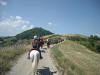 Al via il corso per accompagnatori e guide turismo equestre