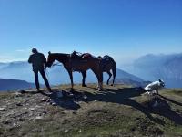 Trentino Alto Adige: trekking del Monte Stivo