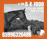 IHP  “Quanti cavalli  sono stati macellati in Italia nel 2020?